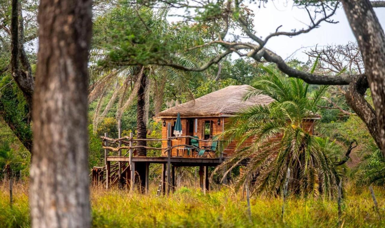 Mansa Musso Lodge Sanyang 外观 照片